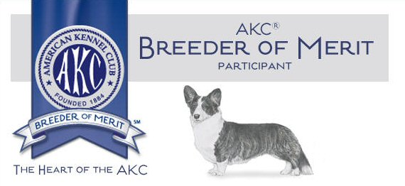 AKC Breeder of Merit, Lori Frost Ventura County, California
